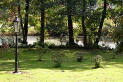 Killikus&reg; Fotographie